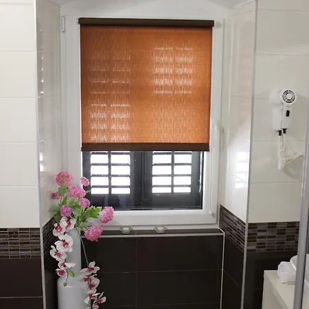 Guest house Piaceta 4*